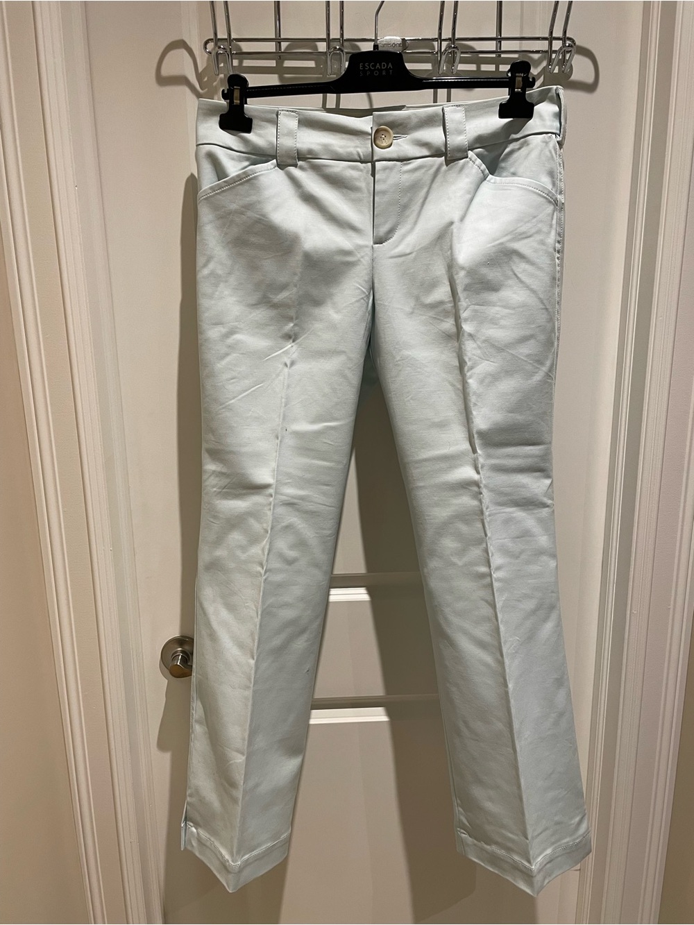 Banana Republic Light Blue Women's Trousers